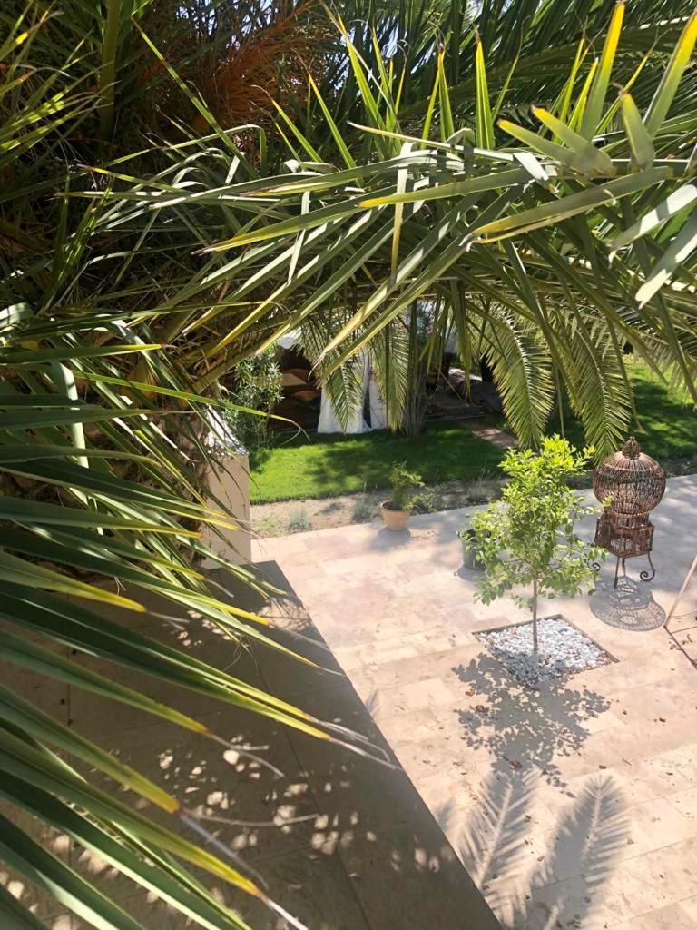 Villa Pauline Avignon Exteriér fotografie